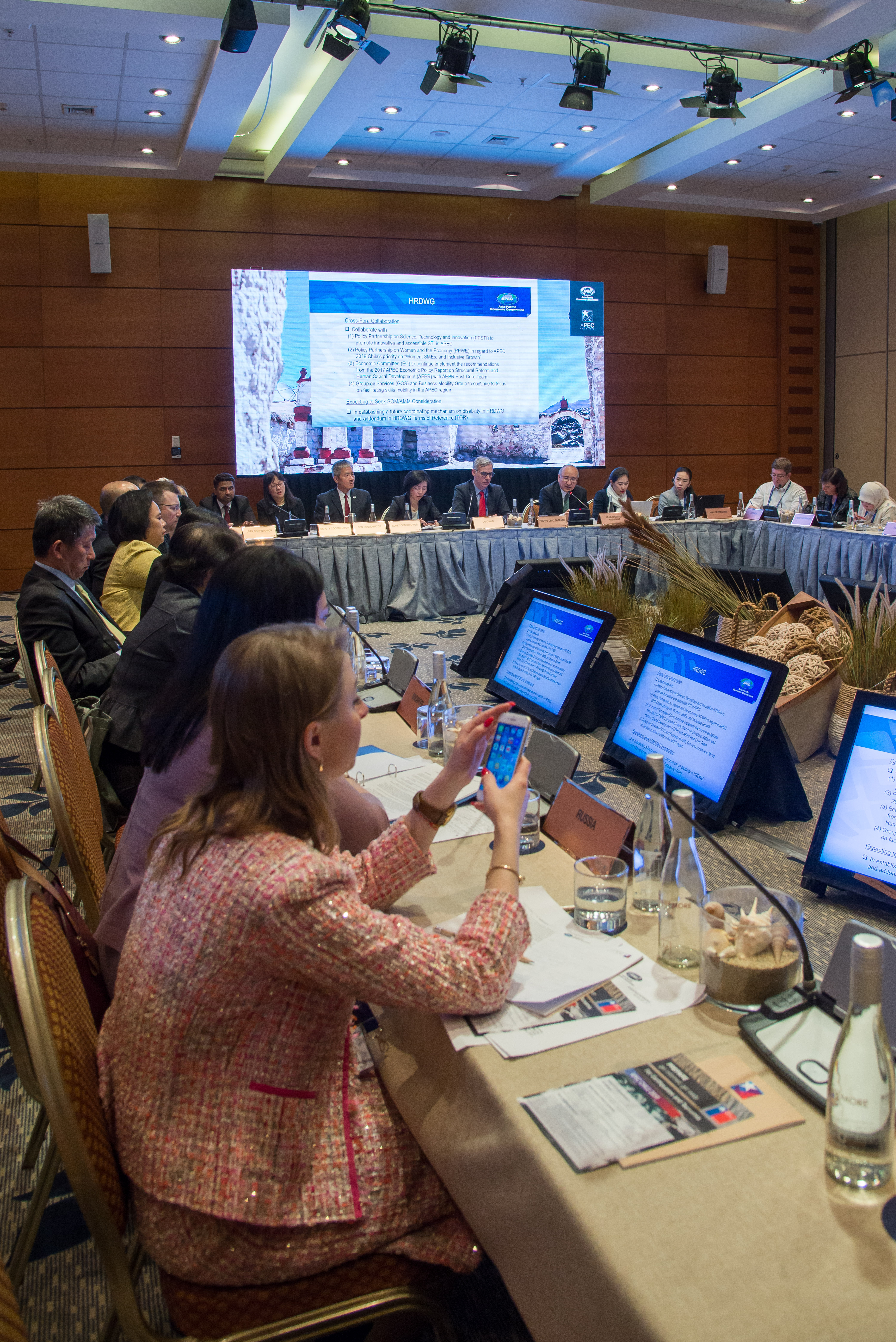 Hrdwg Human Resources Development Working Group Plenary Meeting