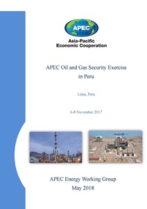 Cover_218_EWG_APEC Oil and Gas Security Exercise in Peru
