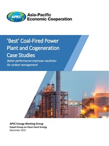 Cover_222_EWG_‘Best’ Coal-Fired Power Plant and Cogeneration Case Studies